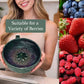 🍓 NYT 50 % ALENNUS! 🔥 Berry Swirl -pesu- ja tarjoiluastia – Kaksikäyttöinen siivilärakenne, luistamaton pohja; sopii erinomaisesti marjojen tai välipalojen huuhteluun, valuttamiseen ja tarjoiluun 🥣