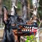🎃 Tänään -50 %! 🐶 Halloween-koiran suukappale, jossa on kammottavat vampyyrin hampaat